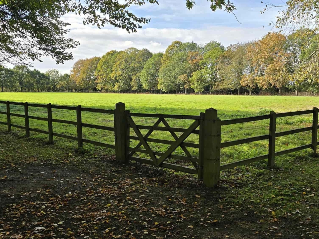 Paddock with timber fencing and gate beside the lime avenue at Loddon Hall, Norfolk