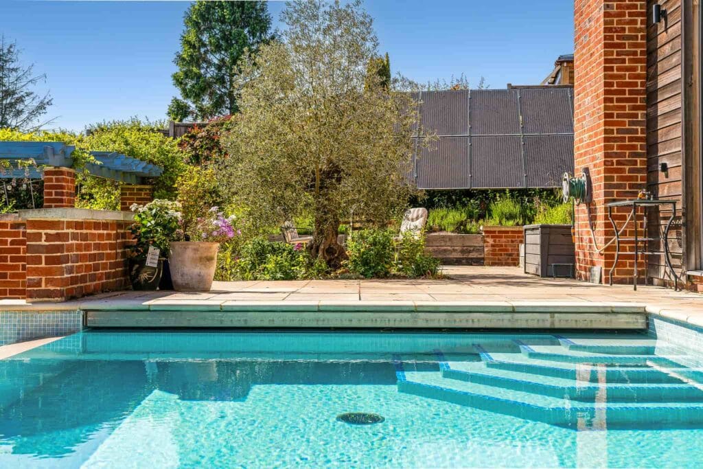 Sunlit poolside with olive tree and vibrant garden backdrop.