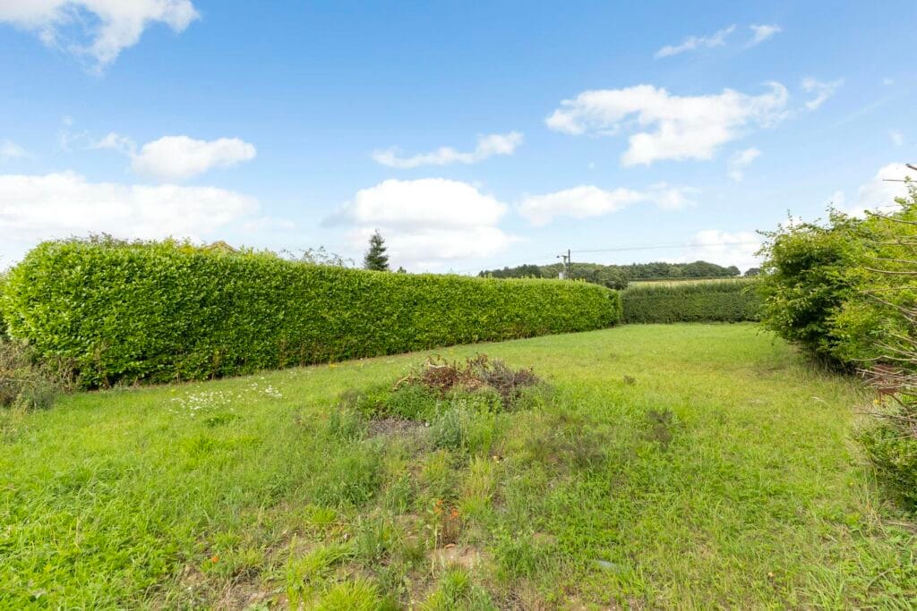 Additional garden space enclosed by mature hedging