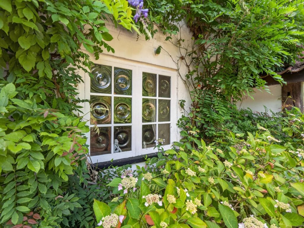 Leaded cottage window framed by hydrangeas and climbing garden plants