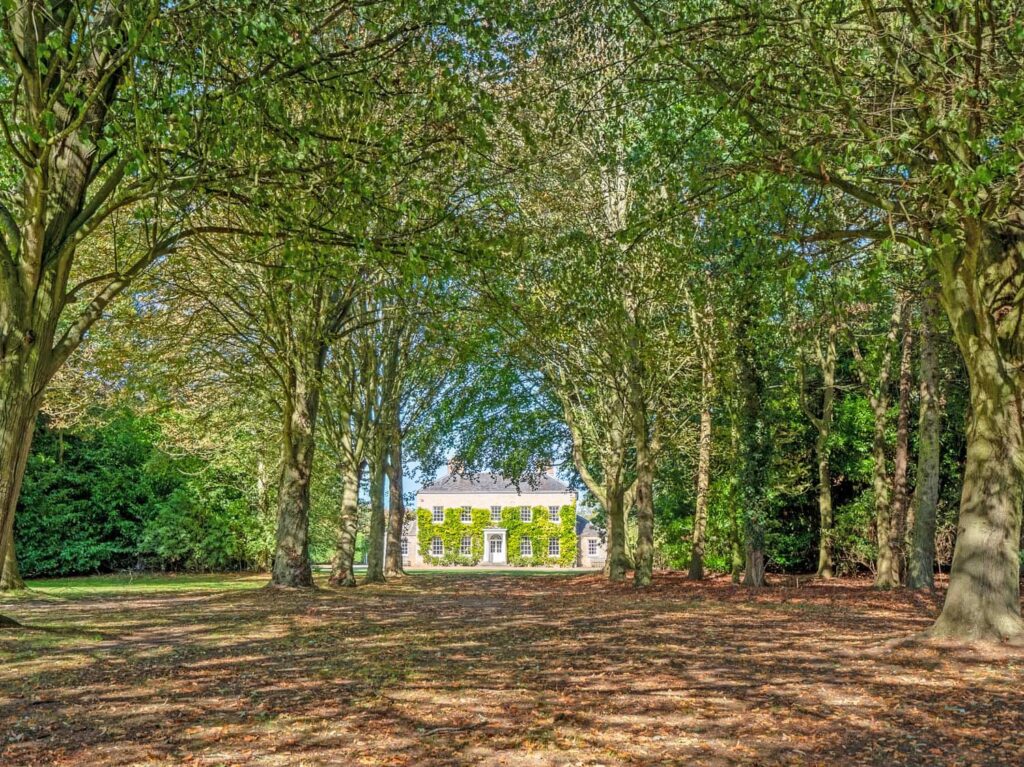 Lime avenue leading to Loddon Hall, Grade II listed country house with parkland, Norfolk
