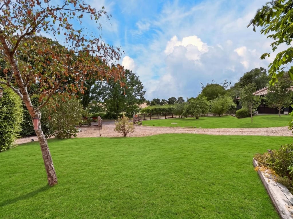 Gardens and grounds at The Tithe Barn Sisland showing wide lawn, silver birch tree, gravel path, and outbuilding beyond post-and-rail fence