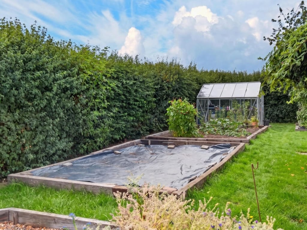 Kitchen garden with covered raised bed, greenhouse, and mature hedging at The Tithe Barn, Sisland, Norfolk