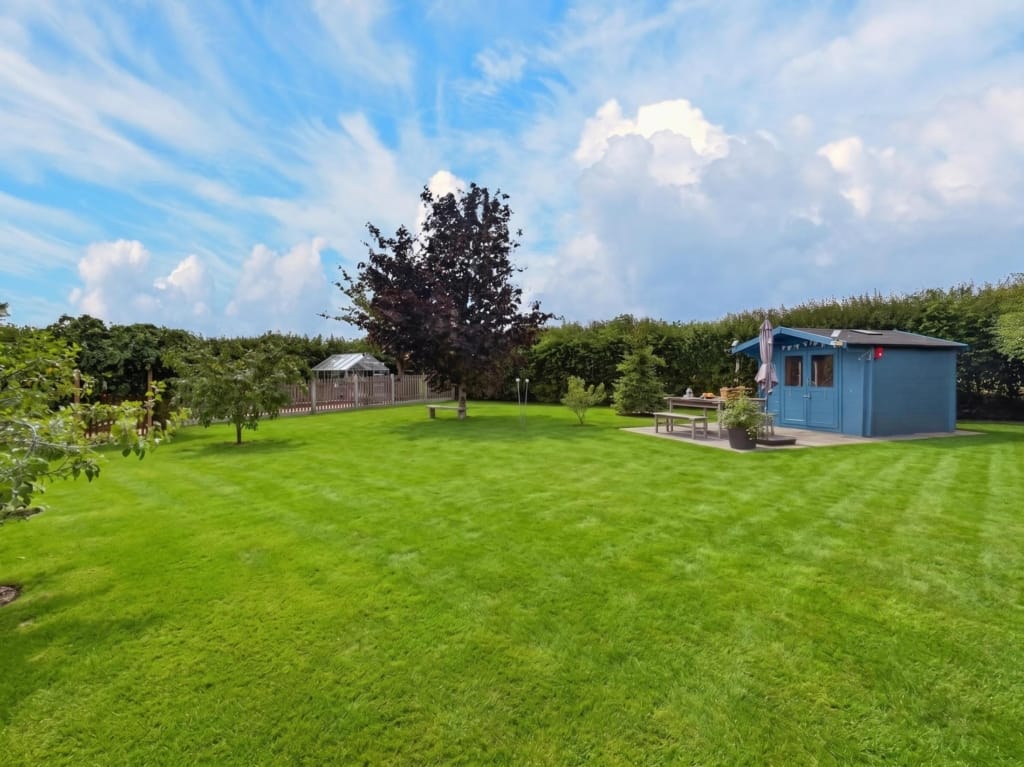 Gardens and grounds at The Tithe Barn Sisland Norfolk, striped lawn, blue timber summerhouse with patio, copper beech tree and greenhouse beyond