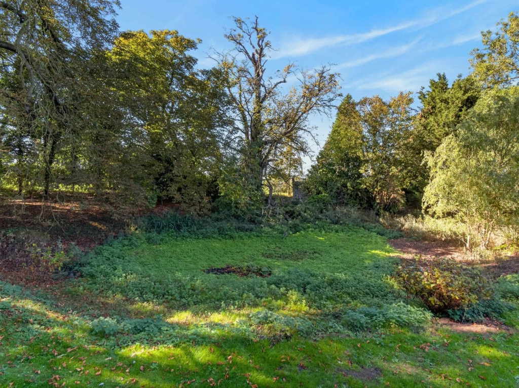 Lawn and mature trees in the grounds of Loddon Hall Cottage, Norfolk