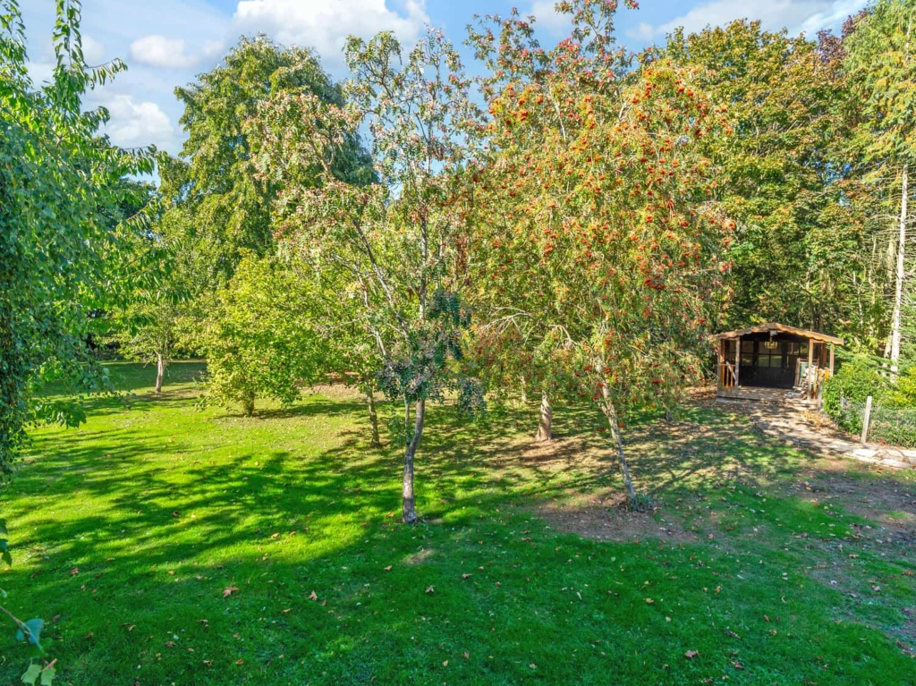 Orchard and kitchen garden with timber shed in the grounds of Loddon Hall, Norfolk