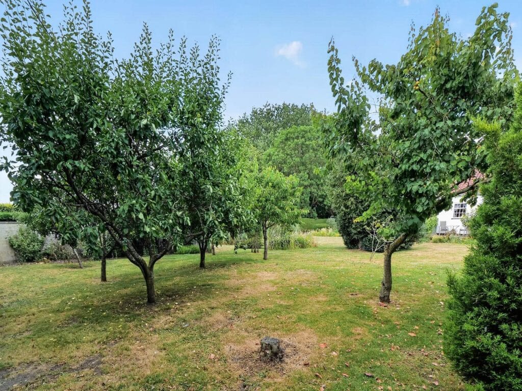 Established orchard with mature fruit trees set within the estate grounds